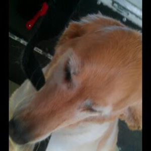 Meet your Posher, Jackie